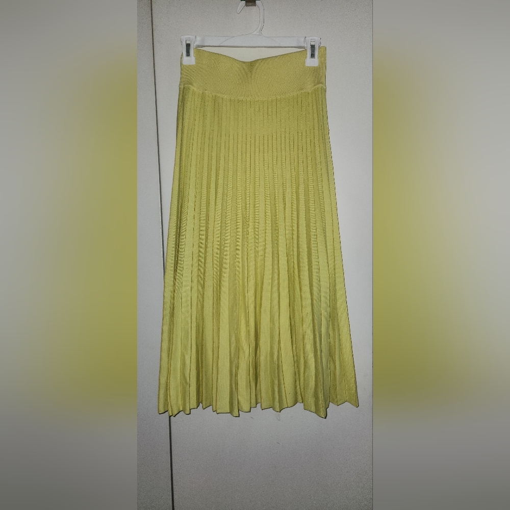 Agnona midi skirt
